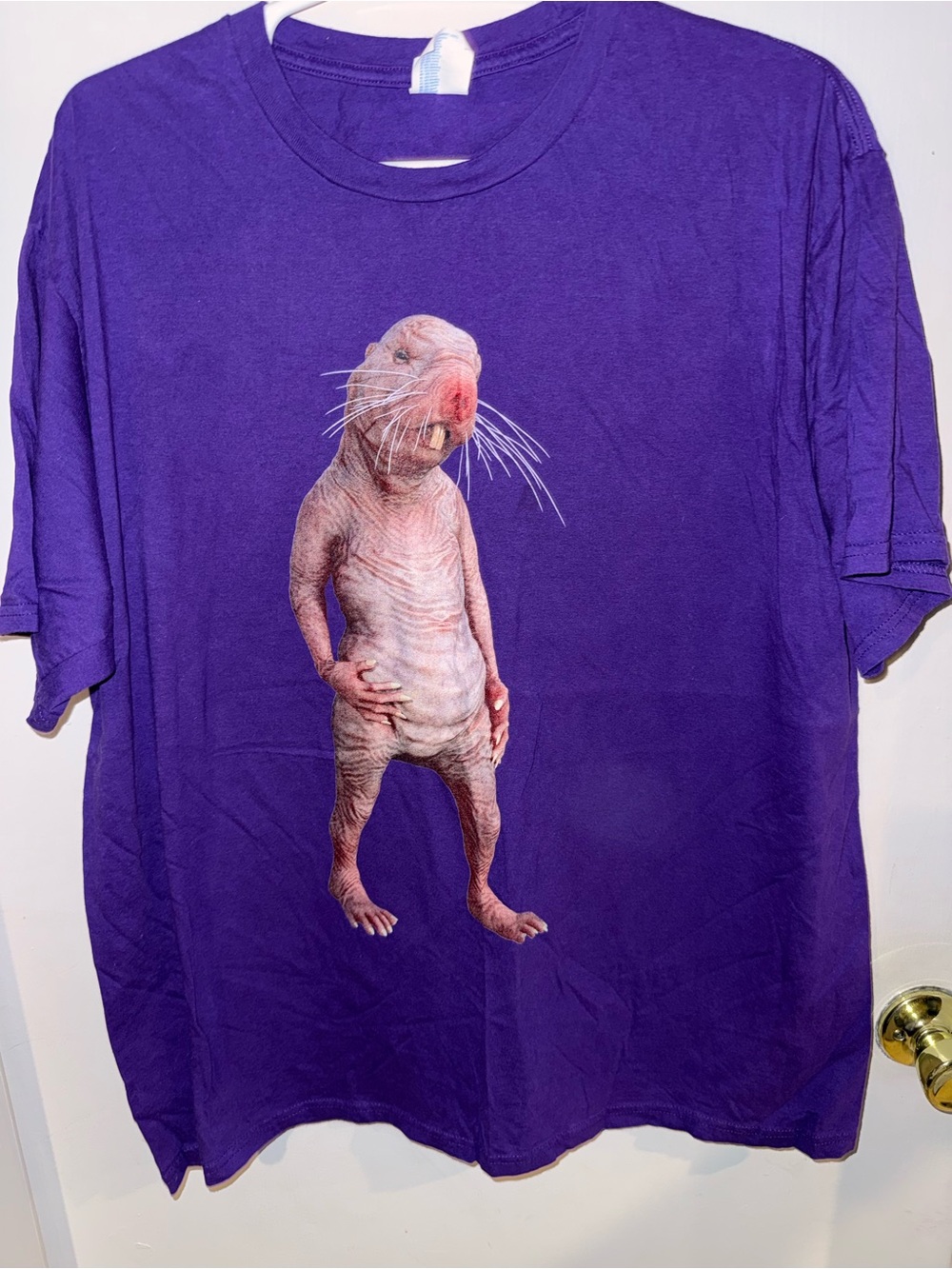 Port and Company Purple T-Shirt with Naked Mole Rat Graphic